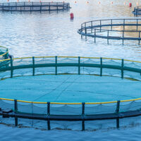 Aquaculture